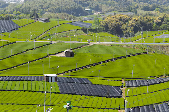 配、農(nóng)網(wǎng)解決方案
